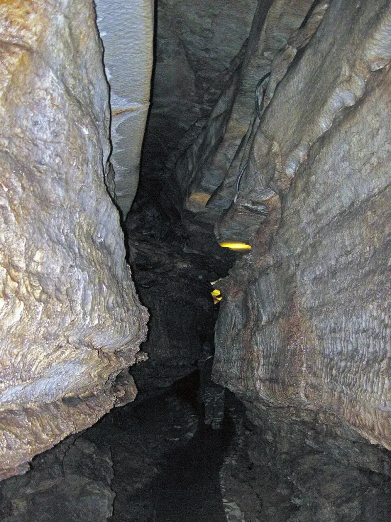 Digital Ruins: Spelunking the Collapsed Caverns of Reddit's Forgotten Communities